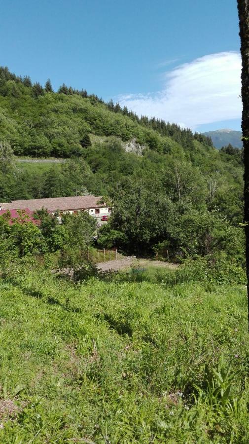 Agriturismo Rio Ricco Busana Exterior foto