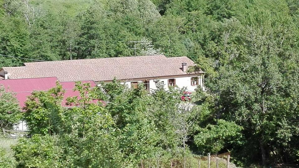 Agriturismo Rio Ricco Busana Exterior foto
